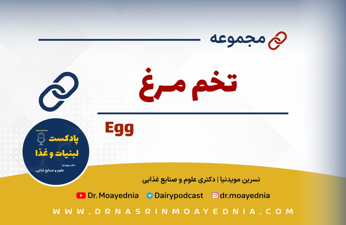 تخم مرغ