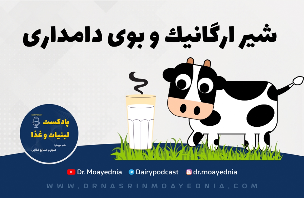 آیا بوی شیر نشانه ارگانیک بودن آن است؟ | دلیل بوی دامداری در شیر چیست؟