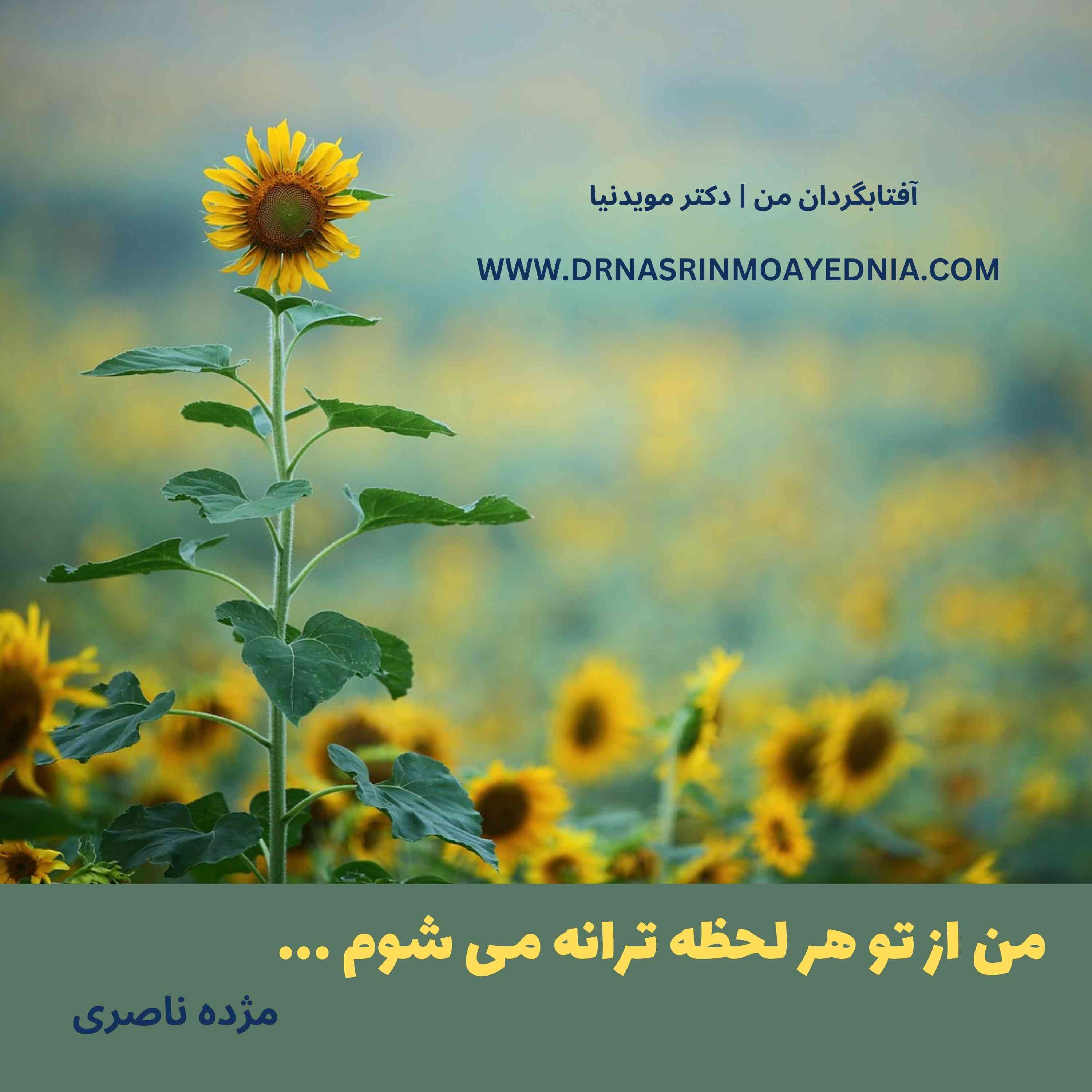 من از تو هر لحظه ترانه می شوم ...