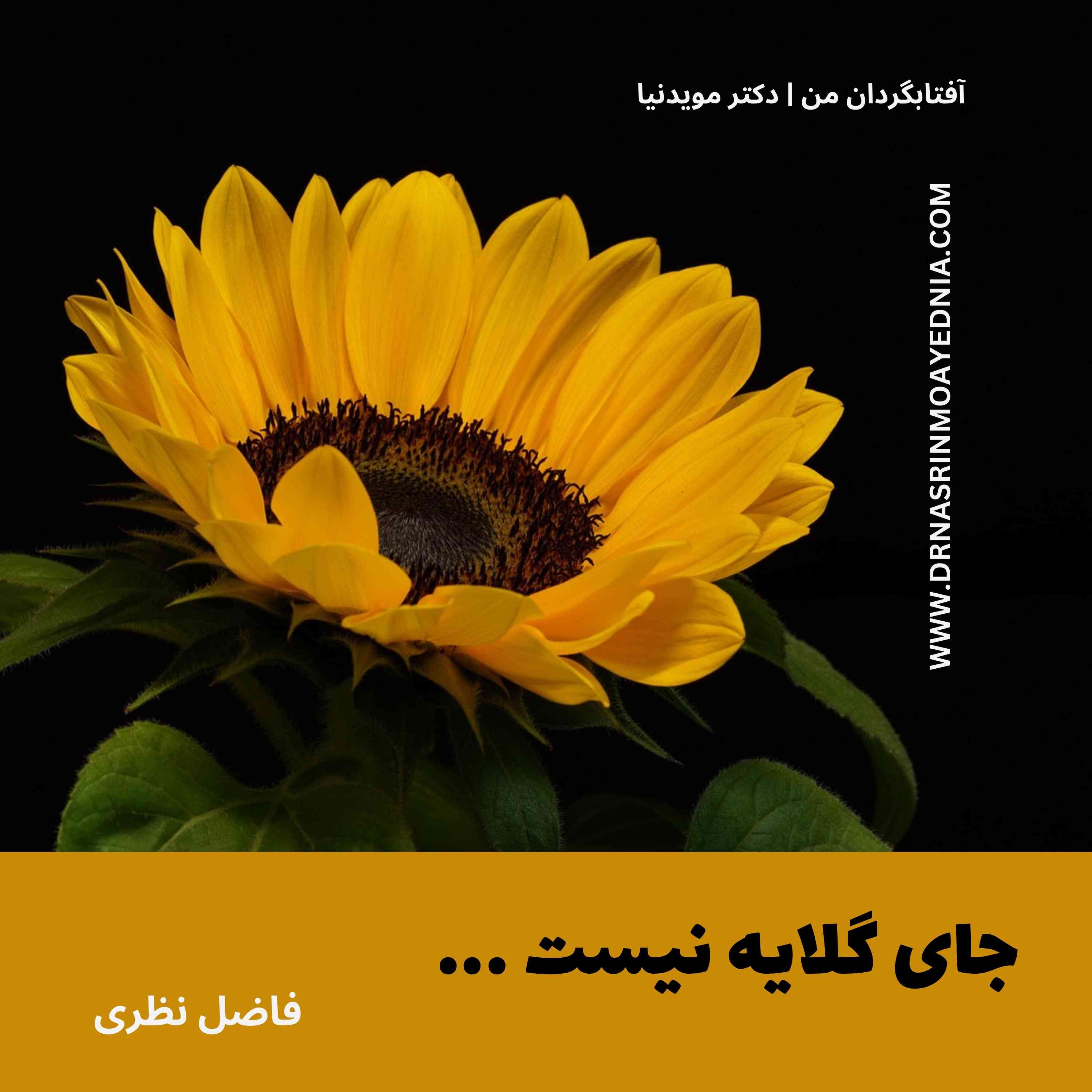 جای گلایه نیست ...