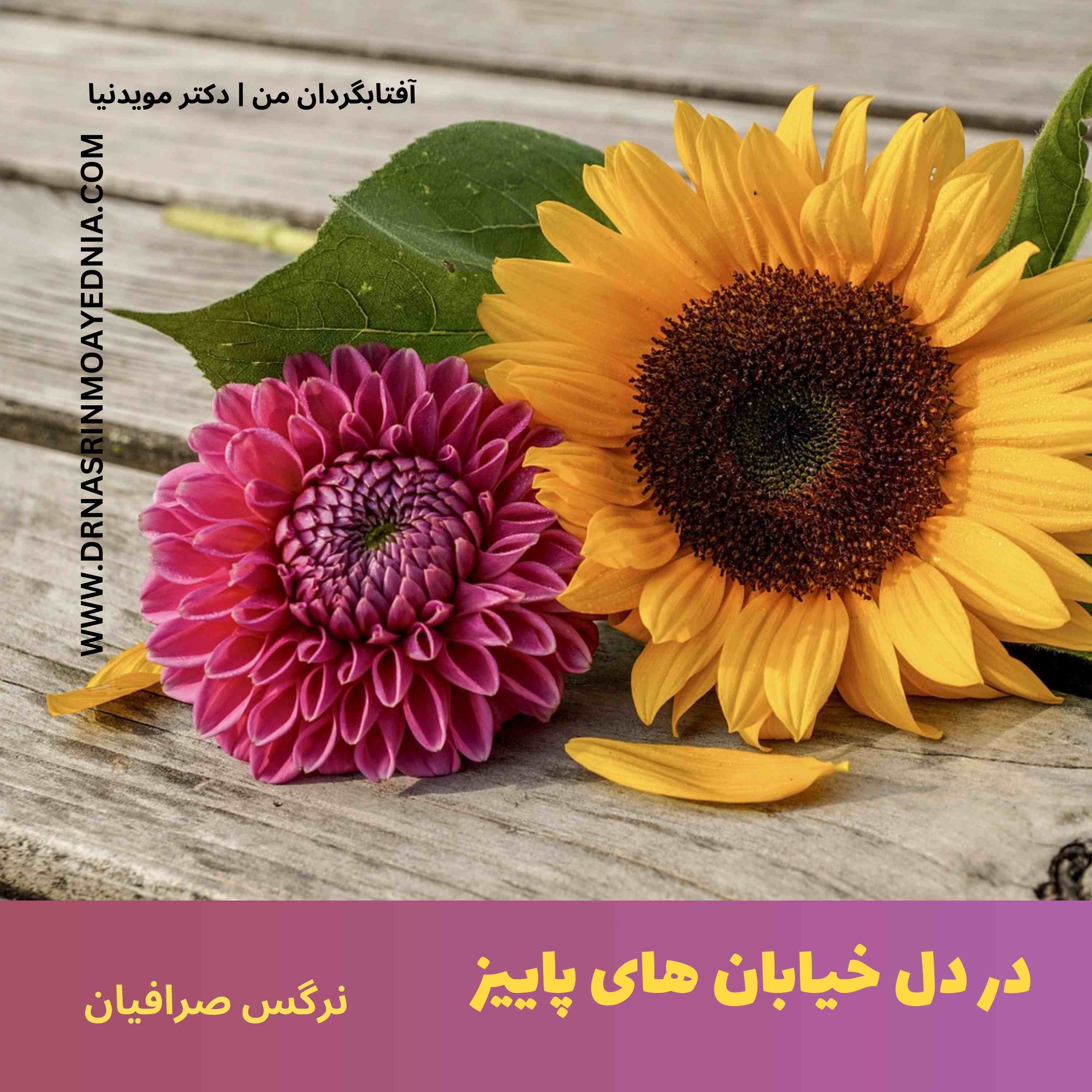 در دل خیابان های پاییز ...